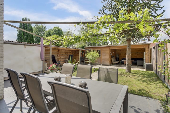 Foto 31 van Dalkruid 32