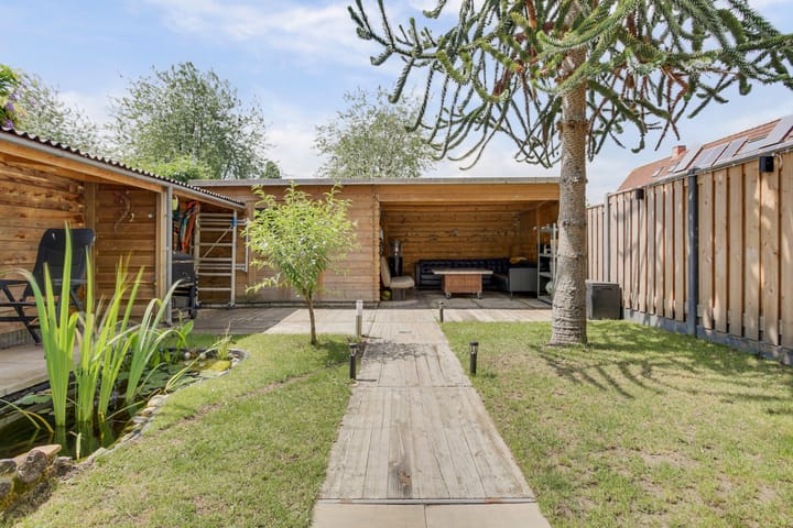 Foto 32 van Dalkruid 32