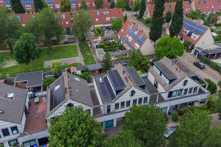 Foto 41 van Dalkruid 32