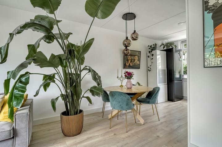 Foto 18 van Menno ter Braaklaan 10