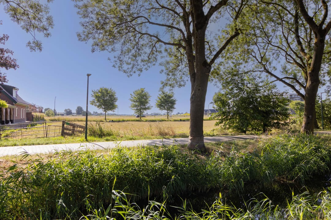 Foto 46 van Schoolstraat 18