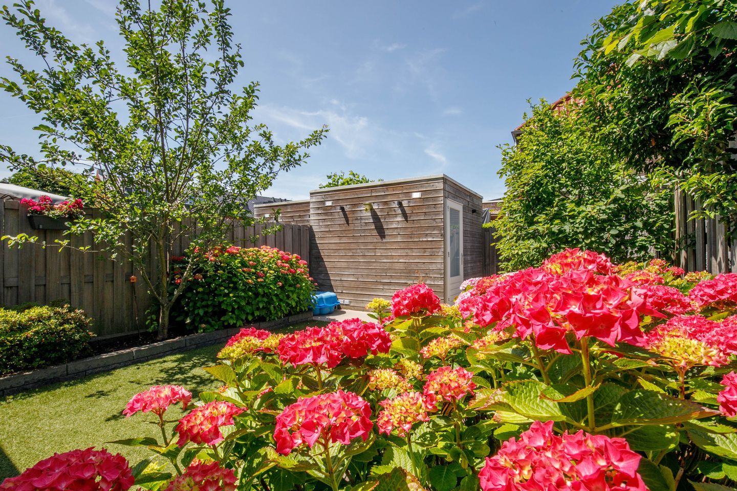 Photo 34 of Van Oranje-Nassaulaan 95