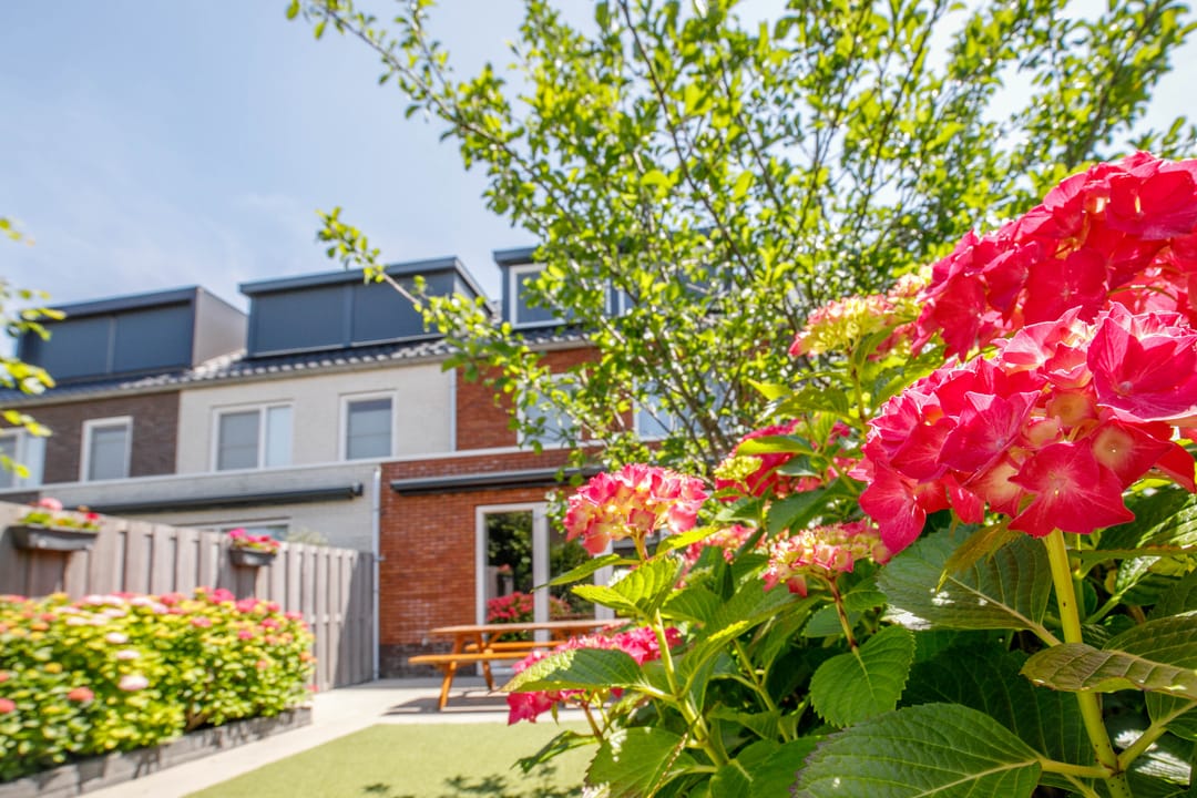 Photo 41 of Van Oranje-Nassaulaan 95