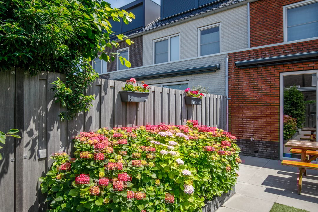 Photo 43 of Van Oranje-Nassaulaan 95