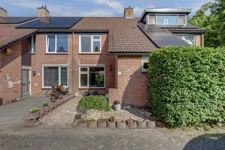 Foto 1 van Stekelbaars 11