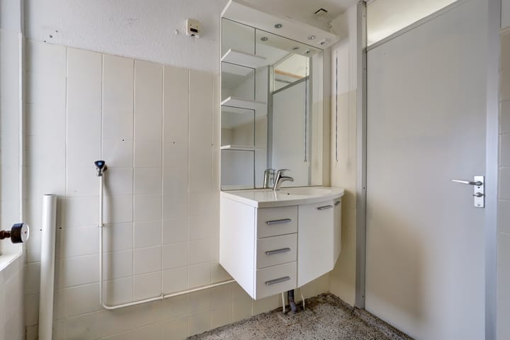 Foto 26 van Stekelbaars 11