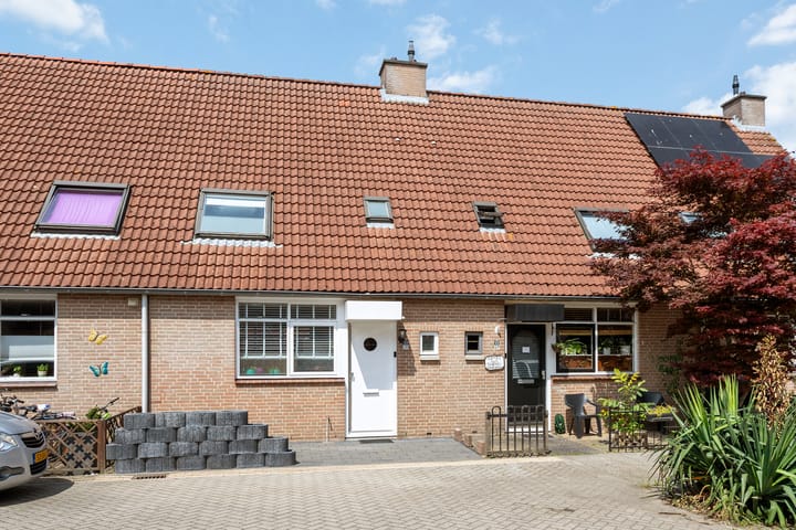 undefined main image