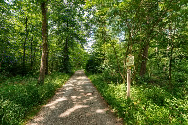 Photo 2 of Traayweg 2