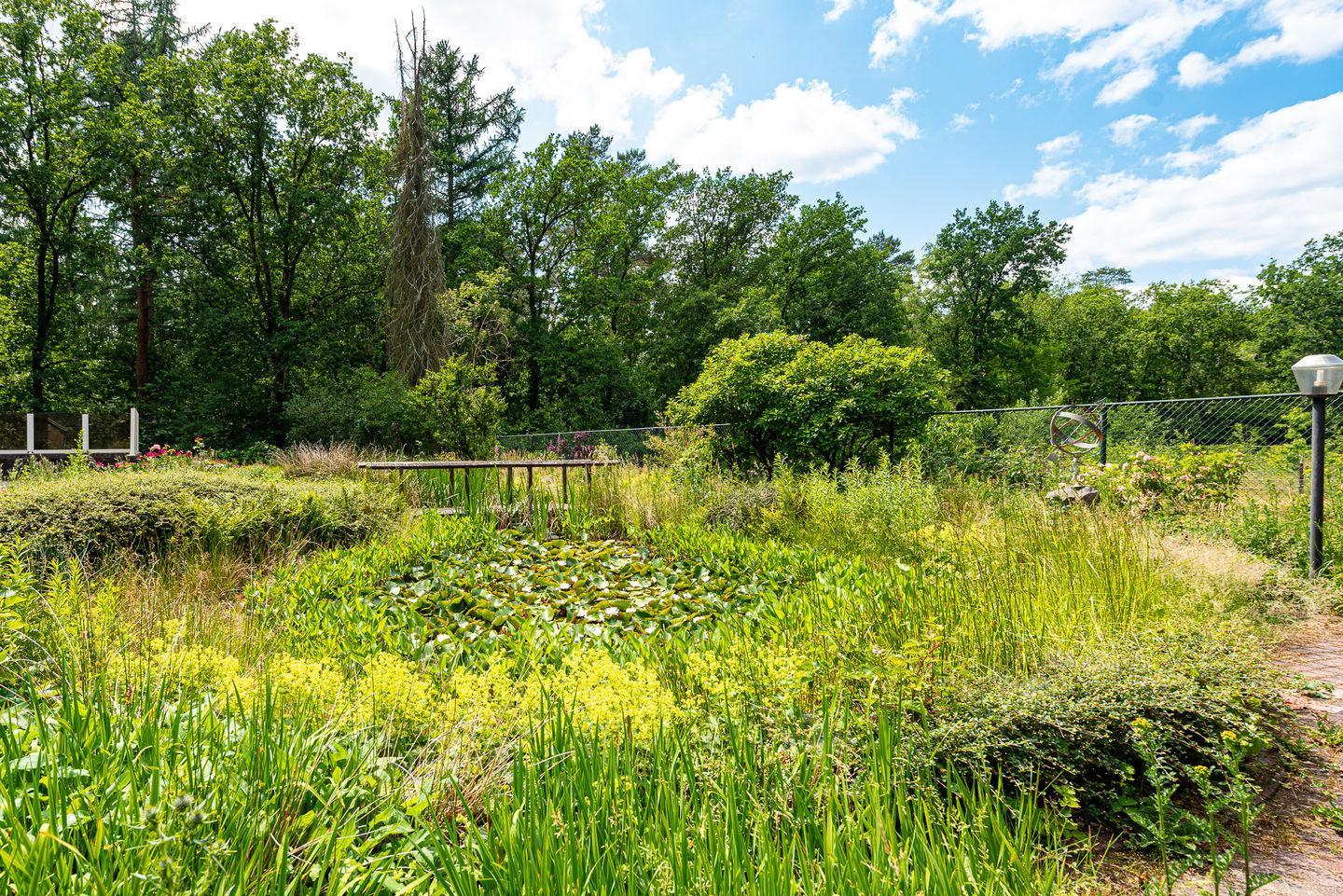 Foto 4 van Traayweg 2