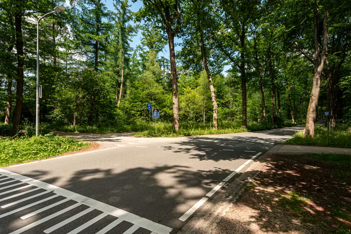 Photo 42 of Traayweg 2