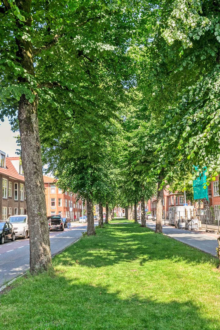 Foto 19 van Sumatralaan 31