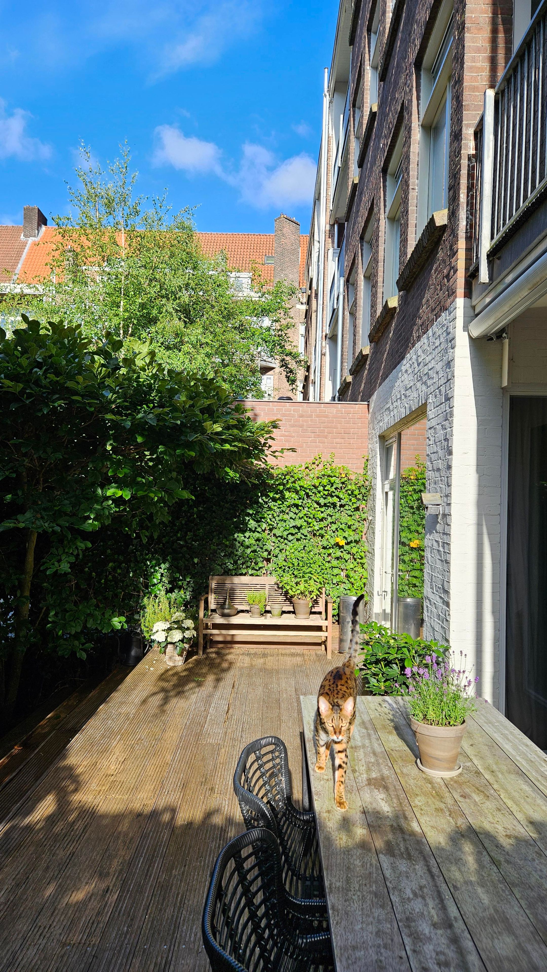 Foto 18 van Churchill-laan 294