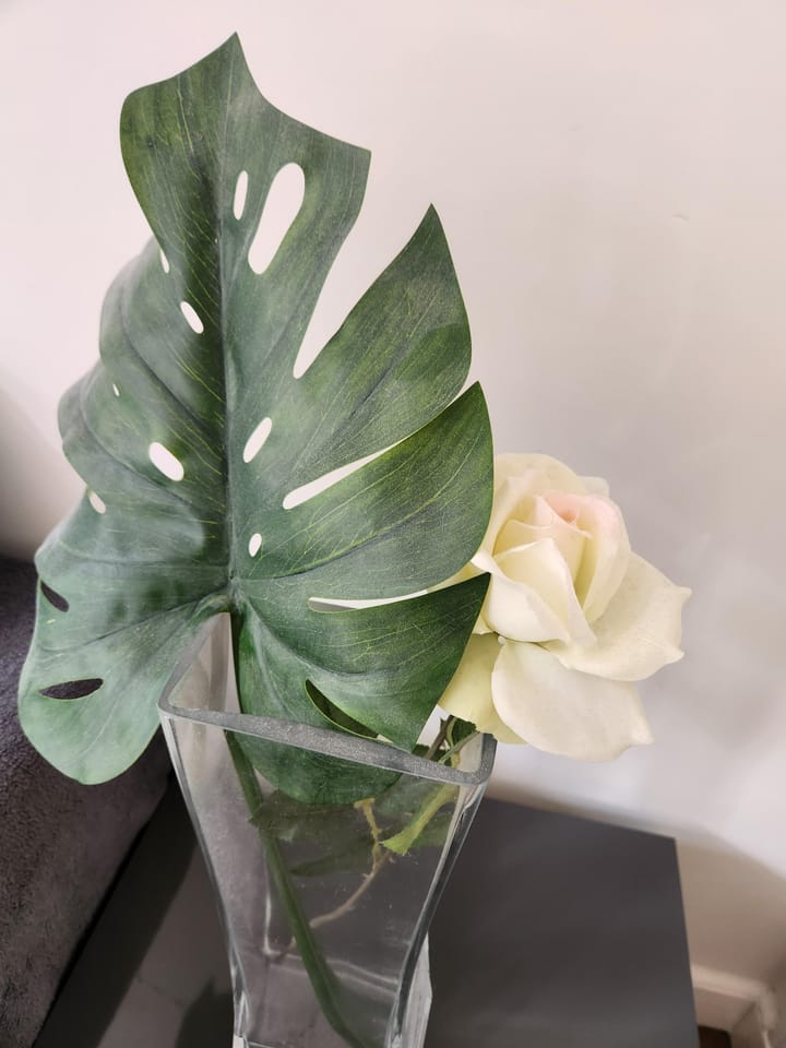 Foto 15 van Laurierstraat 38-1