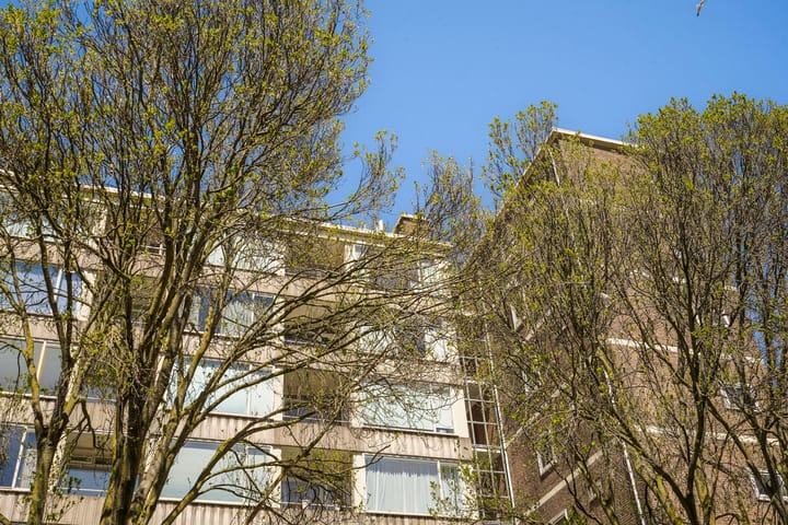 Foto 4 van Hart Nibbrigkade 71-76