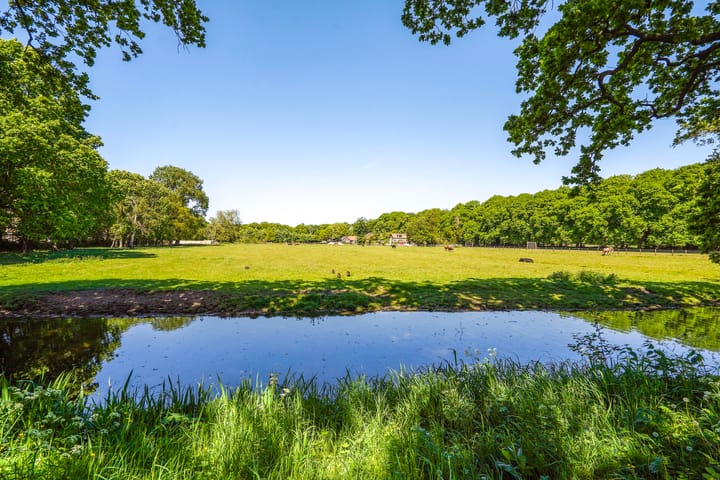 Foto 42 van Hart Nibbrigkade 71-76