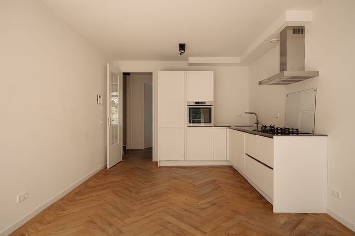 Foto 10 van Tweede Jan Steenstraat 79-B