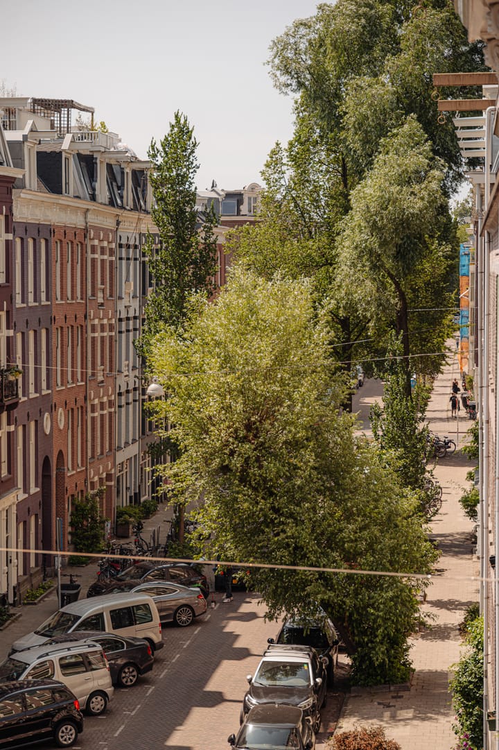 Foto 20 van Tweede Jan Steenstraat 79-B