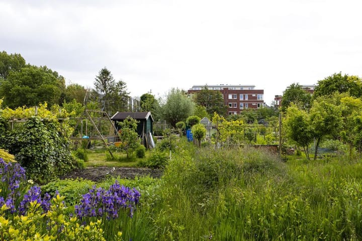 Foto 17 van Pieter van Musschenbroekstraat 63