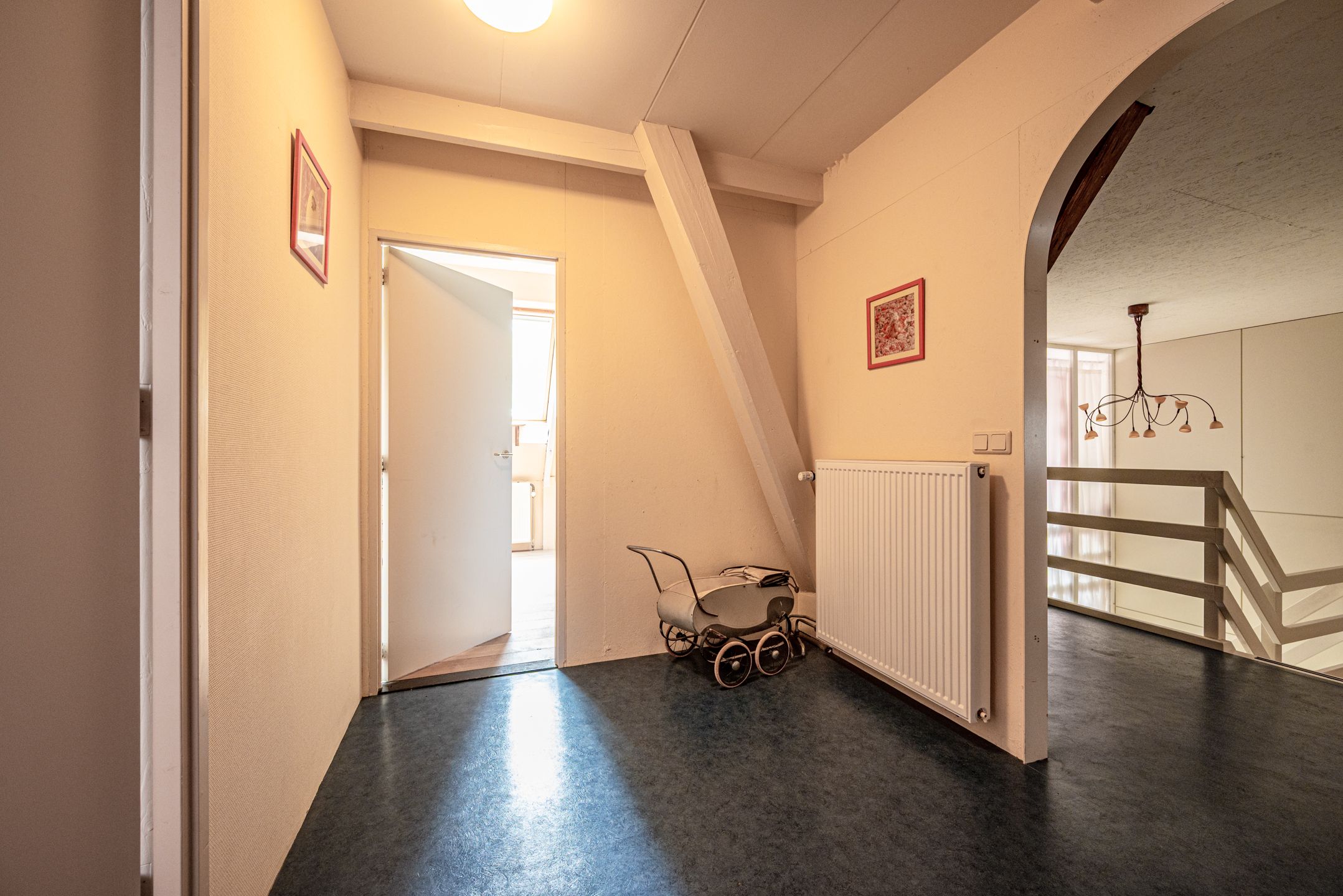 Foto 48 van Greate Súdein 33