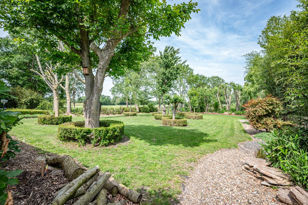 Foto 61 van Greate Súdein 33