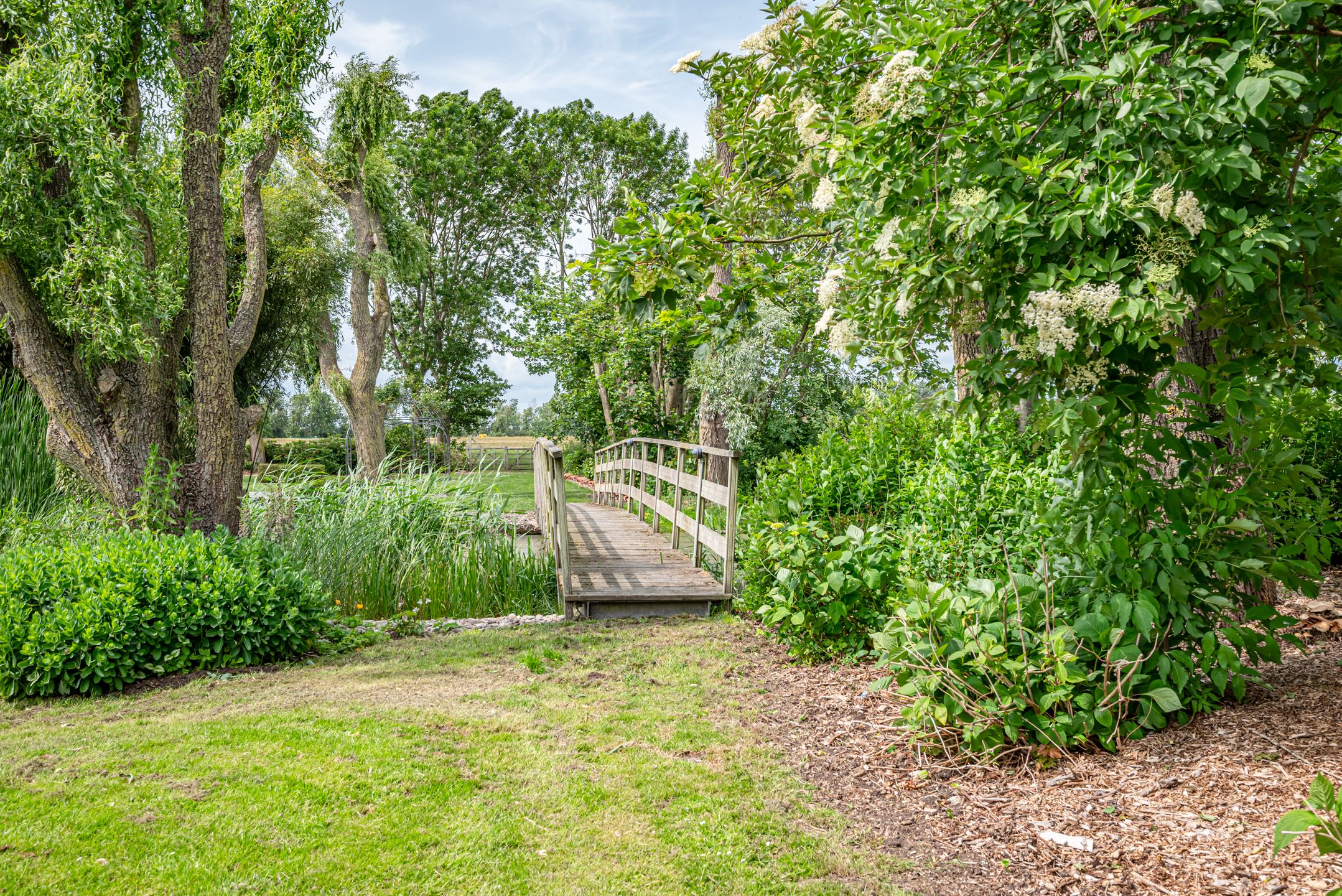 Foto 66 van Greate Súdein 33