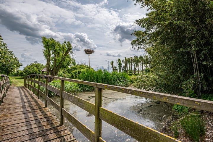 Foto 67 van Greate Súdein 33