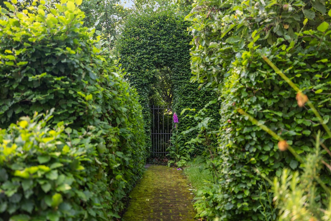 Foto 37 van Veenslagenweg 176