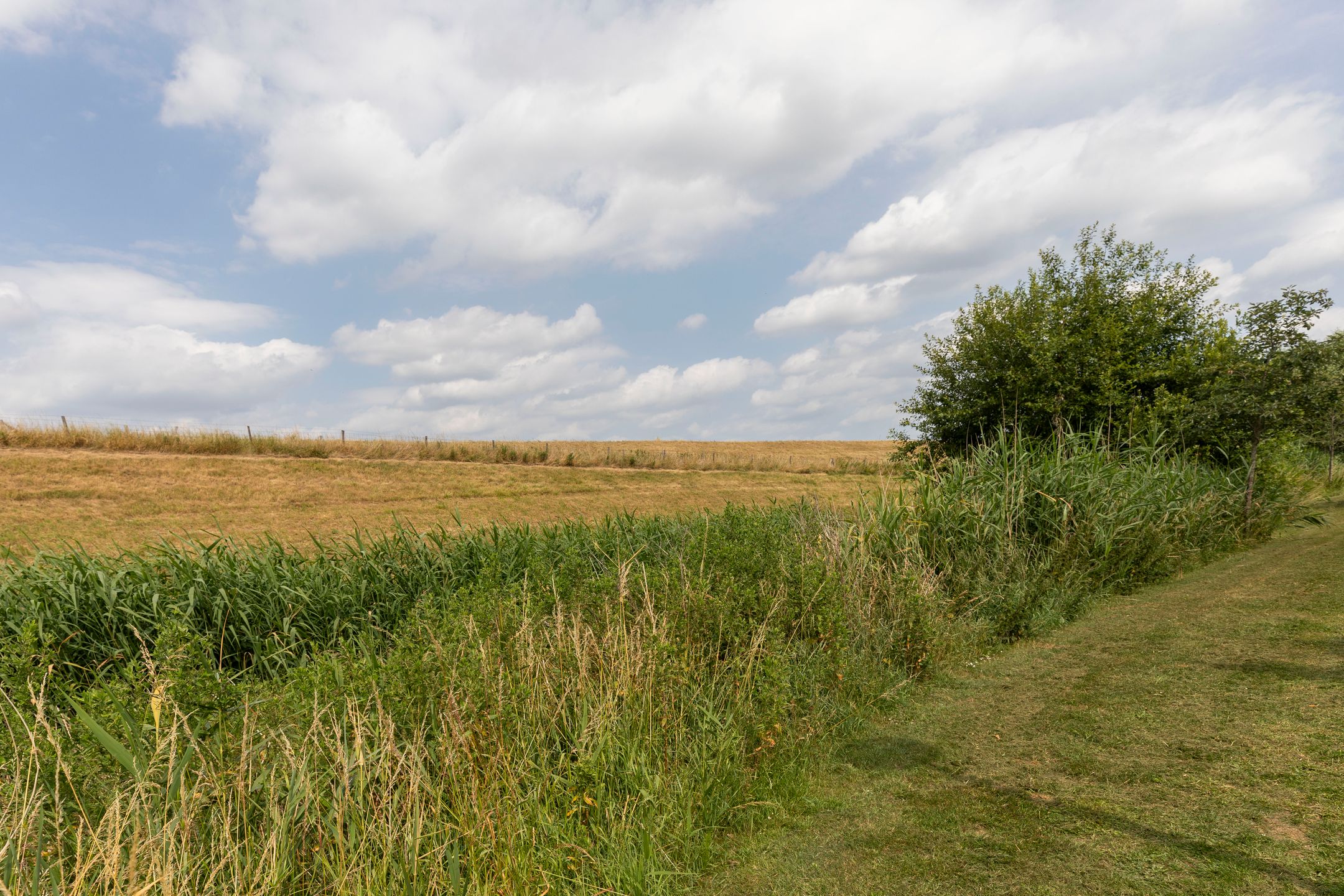 Foto 48 van Prof. Teldersstraat 43