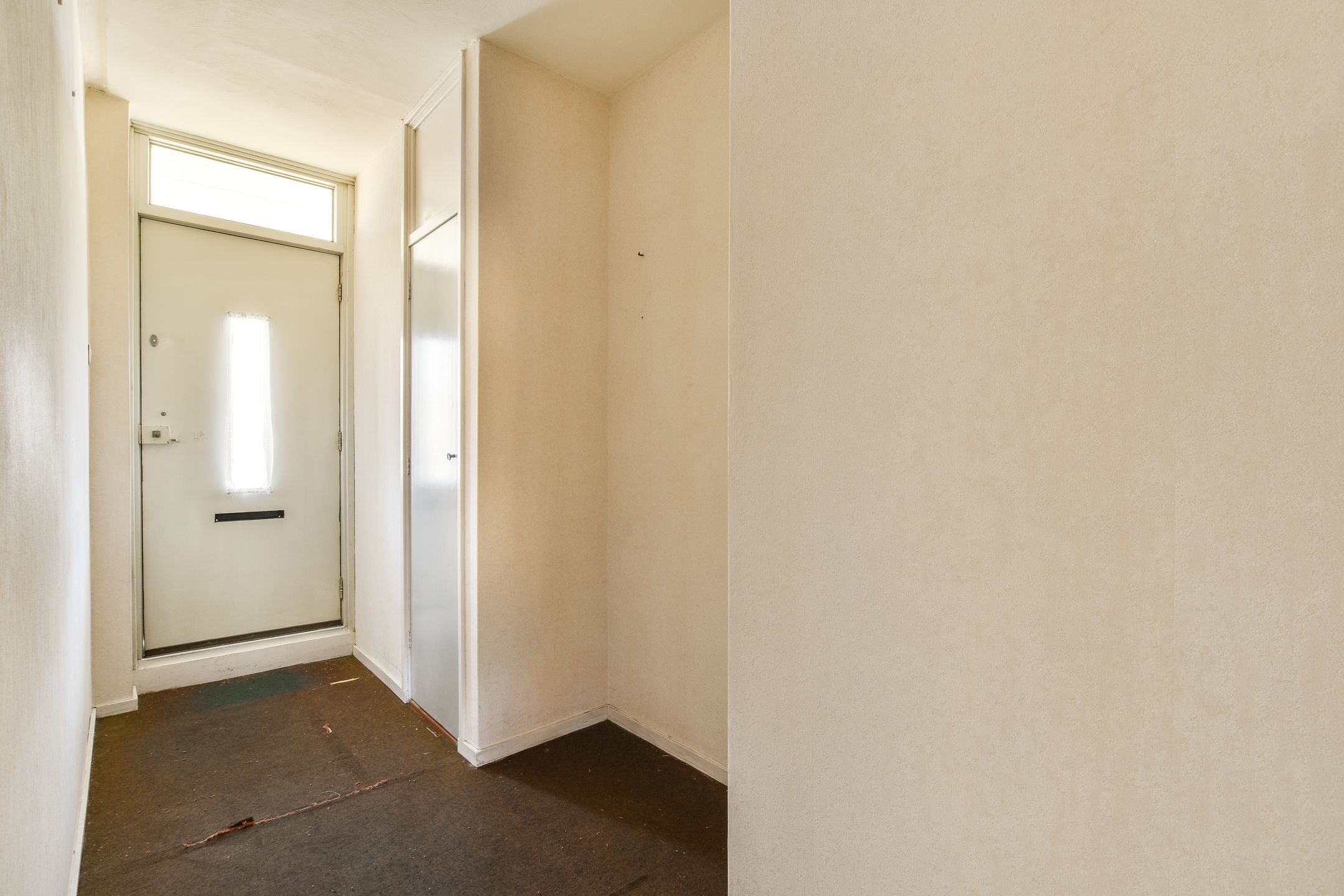 Foto 3 van Biesbosch 213