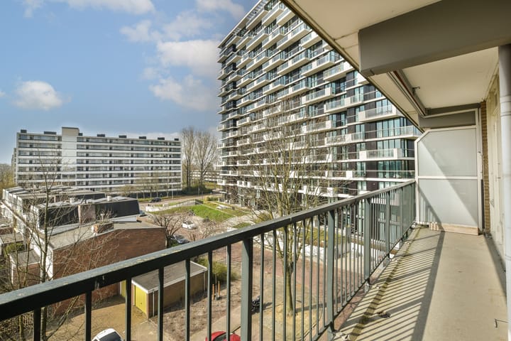 Foto 6 van Biesbosch 213