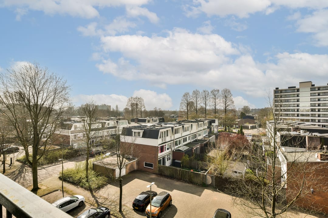 Foto 7 van Biesbosch 213