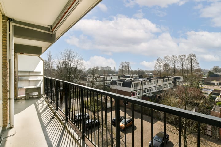 Foto 8 van Biesbosch 213