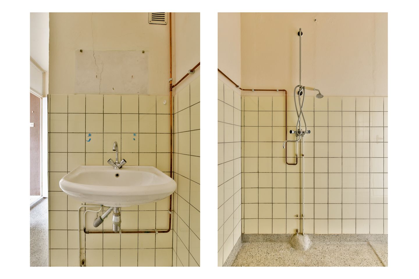 Foto 14 van Biesbosch 213