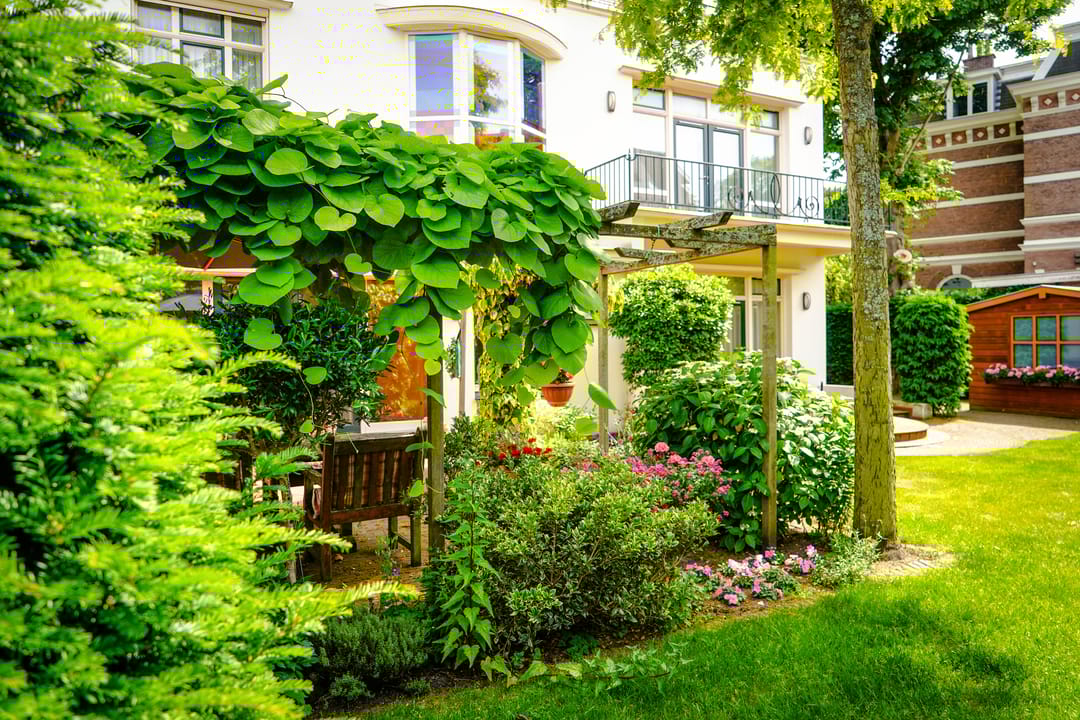 Foto 11 van Hogeweg 4