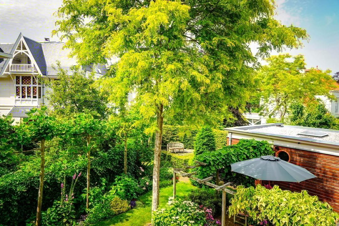 Foto 22 van Hogeweg 4