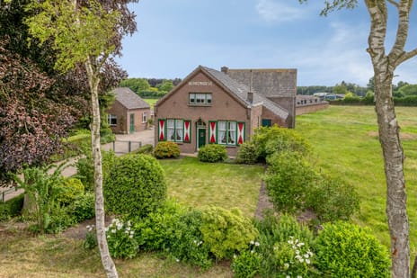 Berkenstraat thumbnail