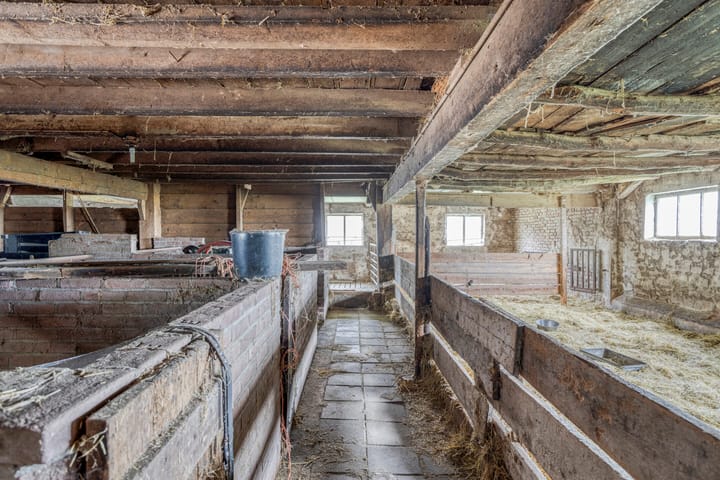 Foto 41 van Berkenstraat 10