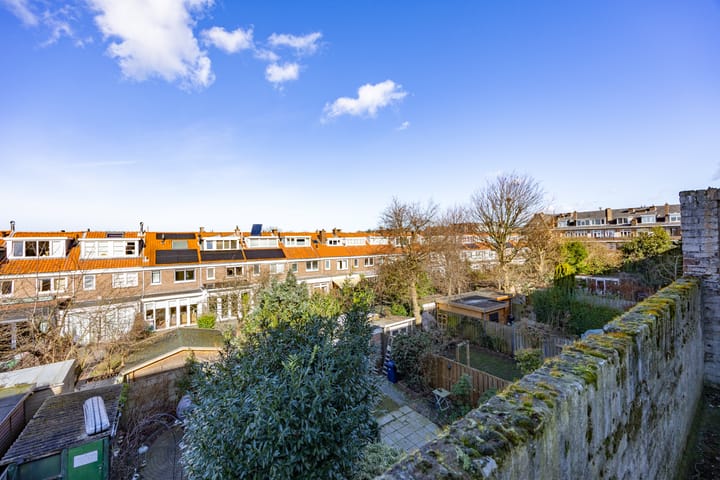 Foto 14 van Vlierboomstraat 337