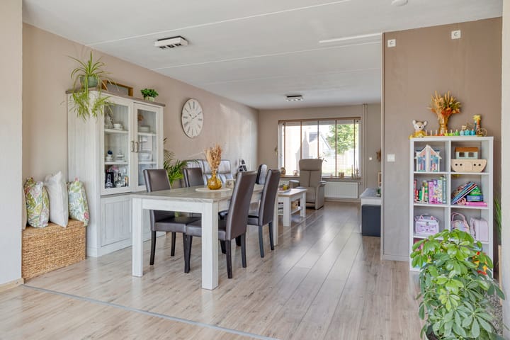 Foto 3 van Oude Drydijck 43