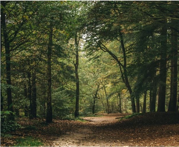 Foto 10 van Van Vollenhovenlaan 1