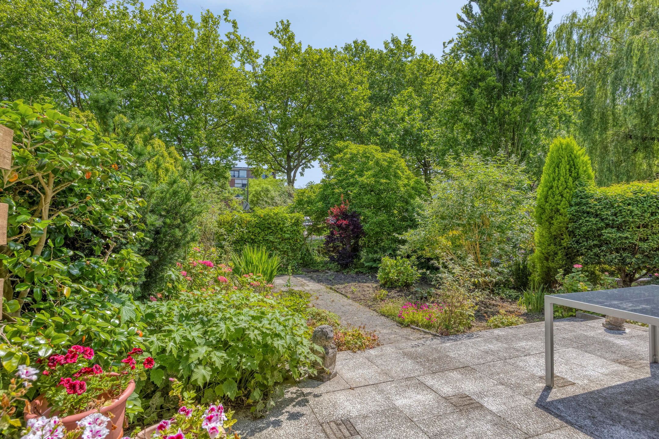 Foto 9 van Veenzoom 1-D