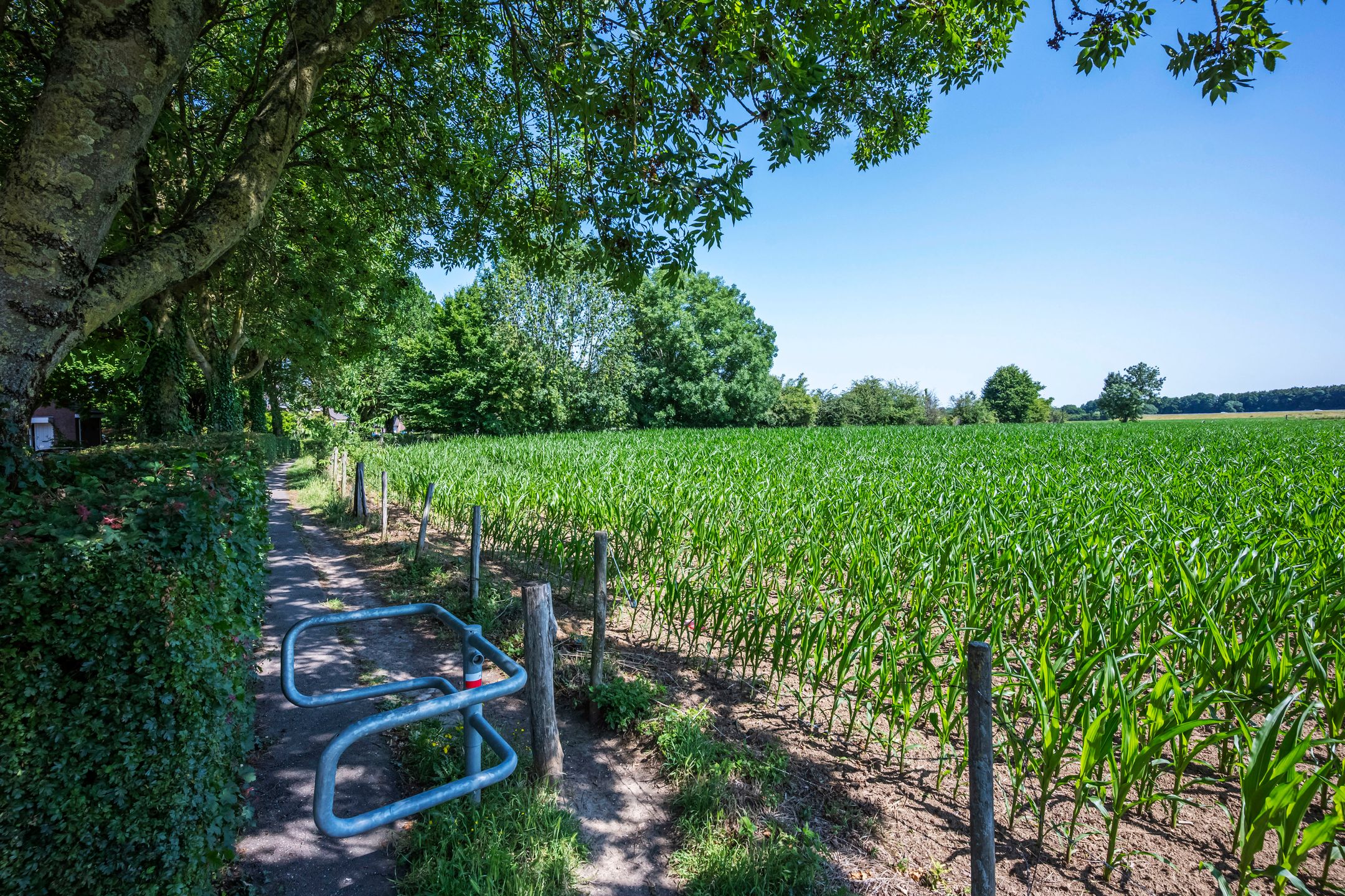 Foto 36 van Grachtstraat 78