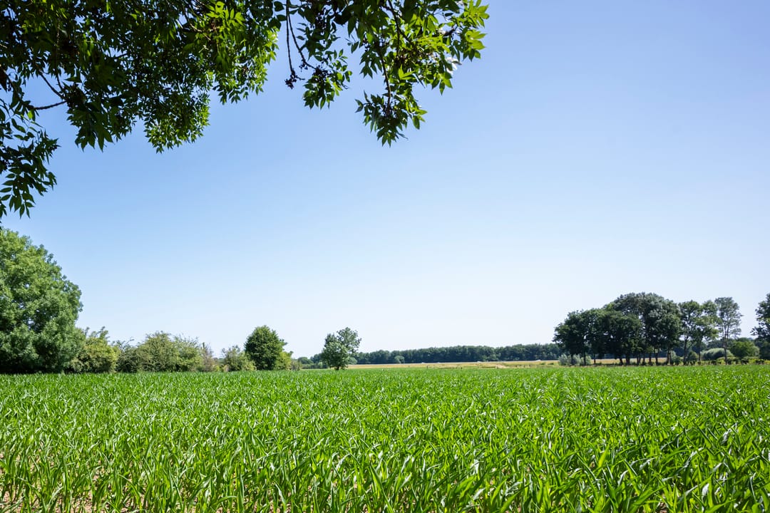 Foto 37 van Grachtstraat 78