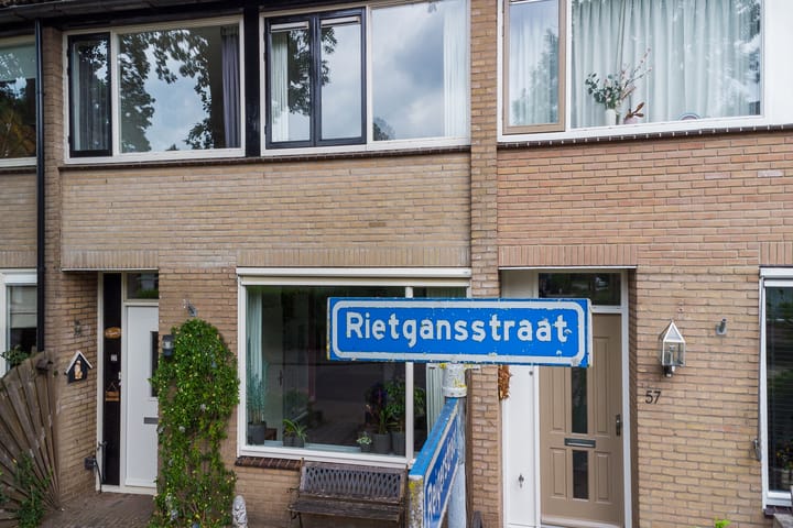 Foto 35 van Rietgansstraat 55