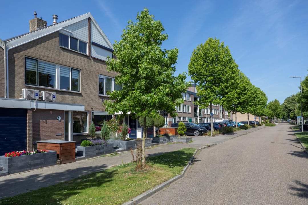 Foto 7 van Grote Stern 97