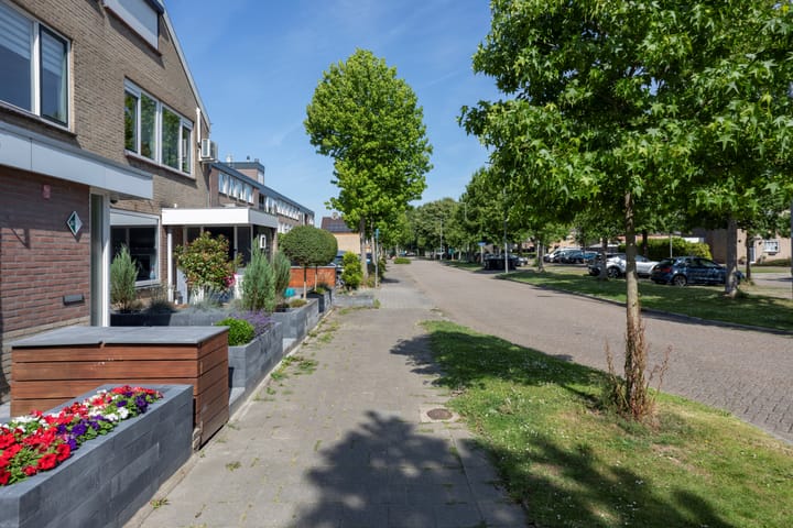 Foto 8 van Grote Stern 97