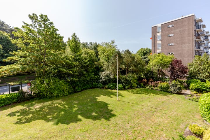 Foto 7 van Merwedeplantsoen 58