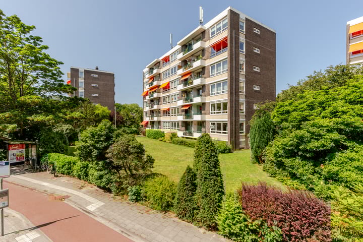 Foto 12 van Merwedeplantsoen 58