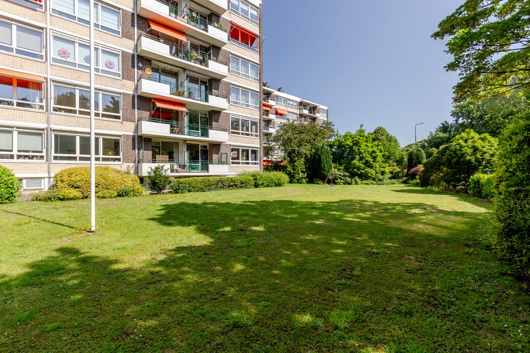 Foto 13 van Merwedeplantsoen 58