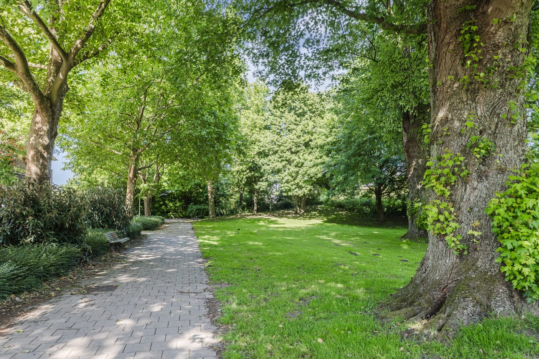 Photo 31 of Veeteeltstraat 41